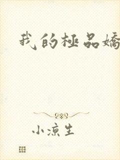 我的极品娇妻