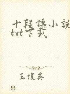 十段锦小说全本txt下载封面