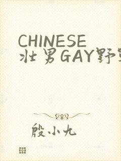 CHINESE壮男GAY野战强迫TUBE