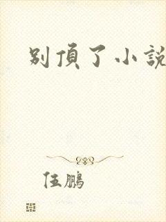 别顶了小说封面