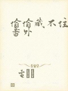 偷偷藏不住新婚番外