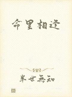 命里相逢封面