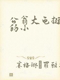 公翁大龟挺进我的小