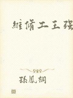 维修工王强张婷封面