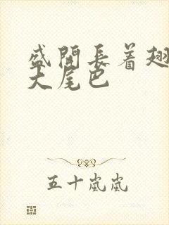 盛开长着翅膀的大尾巴封面