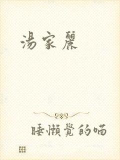 汤家丽封面