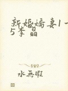 新婚娇妻1一25李晶