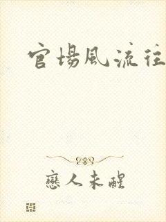 官场风流往事封面