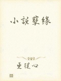 小说孽缘