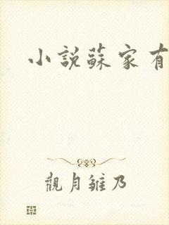 小说苏家有女封面