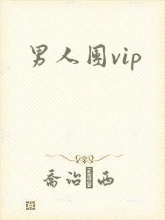 男人团vip