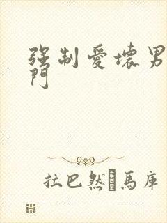 强制爱坏男送上门封面