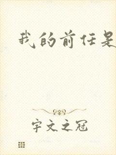 我的前任是极品封面