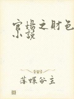 官场之财色诱人小说