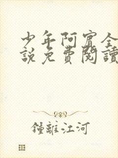 少年阿宾全文小说免费阅读笔趣阁