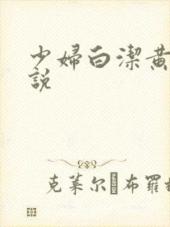 少妇白洁黄色小说