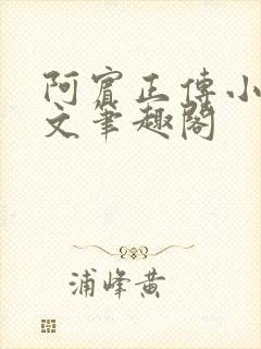 阿宾正传小说全文笔趣阁