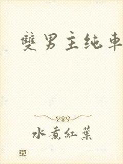 双男主纯车骨科