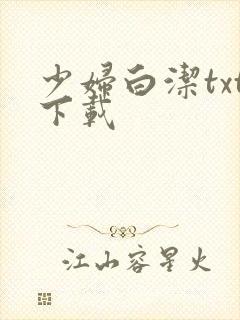 少妇白洁txt下载
