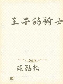 王子的骑士