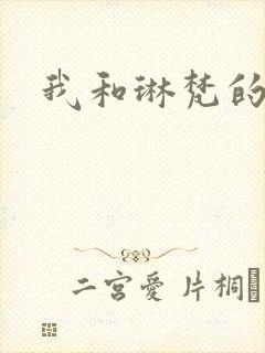我和琳梵的故事