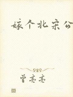 嫁个北宋公务员