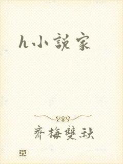 h小说家