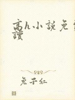 高h小说免费阅读