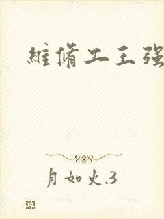 维修工王强张婷