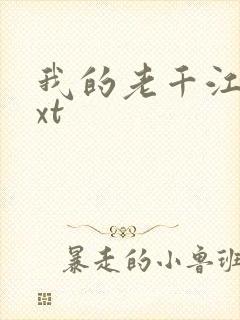 我的老千江湖txt