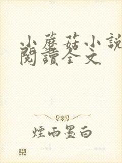 小蘑菇小说免费阅读全文封面