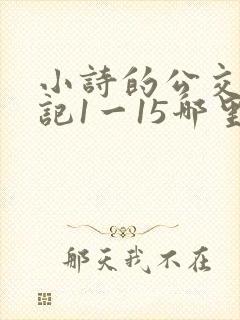 小诗的公交车日记1一15哪里能看