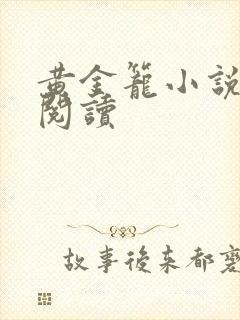 黄金笼小说免费阅读封面