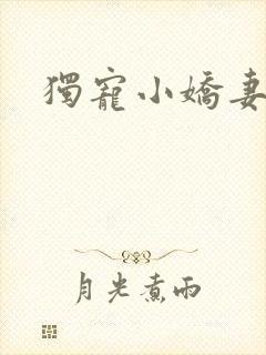 独宠小娇妻