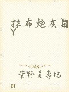 抹布炮灰日记BY