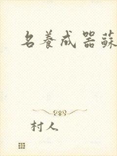 名养成器苏沫沫