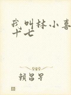 我叫林小喜今年十七封面