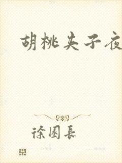 胡桃夹子夜未眠