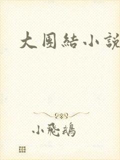 大团结小说阅读