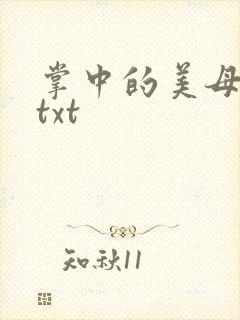 掌中的美母版主txt
