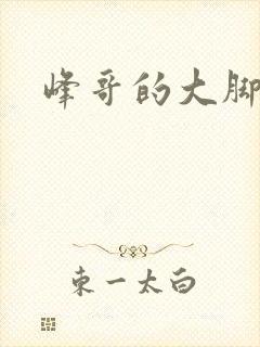 峰哥的大脚