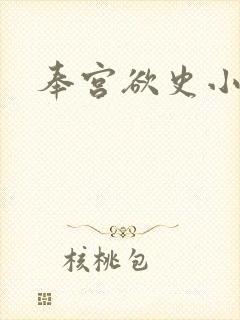 奉宫欲史小说封面