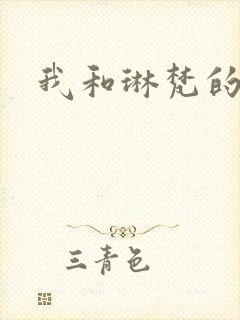 我和琳梵的故事