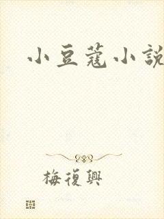 小豆蔻小说封面