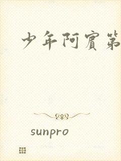 少年阿宾第二部