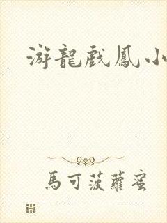 游龙戏凤小说封面