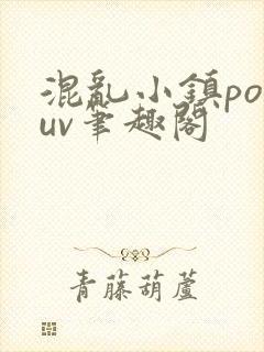 混乱小镇popuv笔趣阁封面