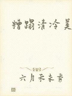 糟蹋清冷美人封面