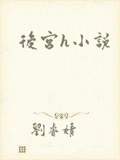 后宫h小说封面