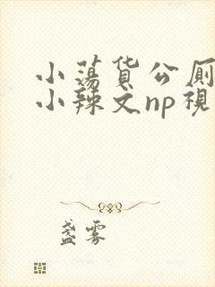 小荡货公厕h文小辣文np视频